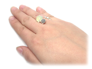 �w�ɒ����������ł��B