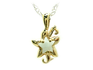 �uPetit Piquant�v�Εt���S�[���h�̃X�^�[���`�[�t�l�b�N���X