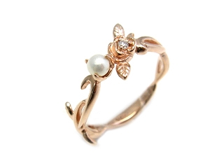 �uStardust�v�p�[�����_�C�����K�N������������S�[���h�����O