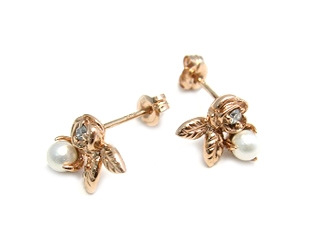 �uStardust�v�p�[�����K�N������������S�[���h�s�A�X