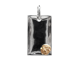 �傫���F�c��23mm�A����11mm
