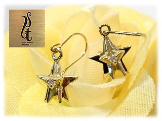 �wstarry�x ���𗧑̓I�ɕ\�������t�b�N�s�A�X(�C�G���[�S�[���h)