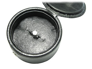 �����O����ꂽ�����ł��B