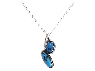 �uBlue nature�v���R�̃G�l���M�[��������^�[�R�C�Y�l�b�N���X