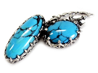 �uBlue nature�v���R�̃G�l���M�[��������^�[�R�C�Y�l�b�N���X�g�b�v
