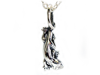 �g�b�v�T�C�Y:�c��22mm�A����7mm