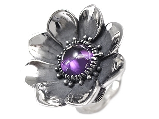 �uanemone�v�w�����ς��ɍ炭�A�l���l�̃V���o�[�����O