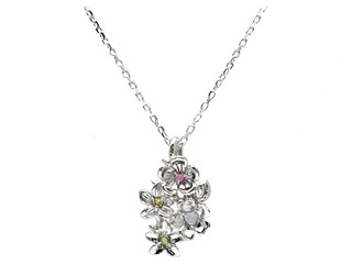 �uchamps de fleurs�v�F�Ƃ�ǂ�̂��Ԃ̃V���o�[�l�b�N���X