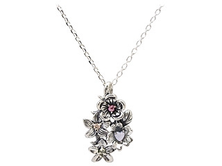 �uchamps de fleurs�v�F�Ƃ�ǂ�̂��Ԃ̃C�u�V�V���o�[�l�b�N���X