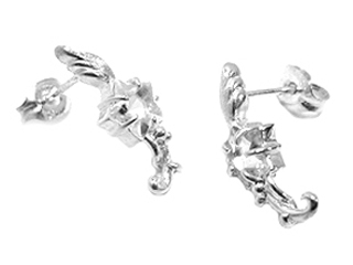 �H�ƃX�^�[�΂ŗ��ꐯ���C���[�W�����V���o�[�s�A�X