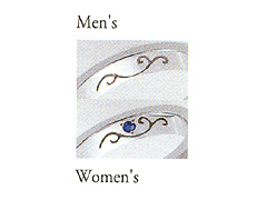 �{�i�͉����ł��B