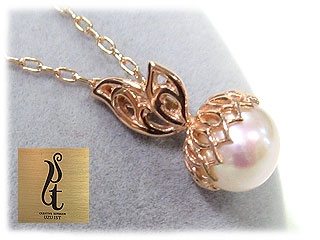 �wBlanc de Fruit�x�����ȉʎ��C���[�W�̃s���N�S�[���h�l�b�N���X