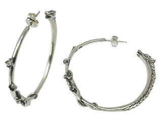 ���藴�Ƀg�J�Q�������t���V���o�[�s�A�X