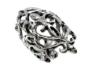 �����̍b�h���C���[�W�������̃t�H�����̃V���o�[�����O