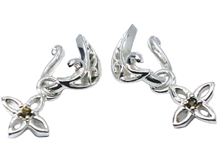 �X���[�L�[�N�H�[�c�̂��Ԃ��h���V���o�[�C���[�����O(�N���b�v)