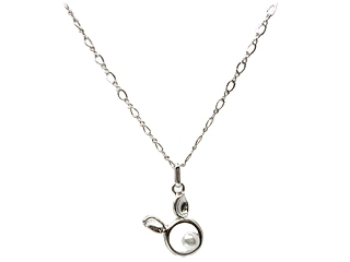 �����R�u�^�������f�U�C�������V���o�[�l�b�N���X