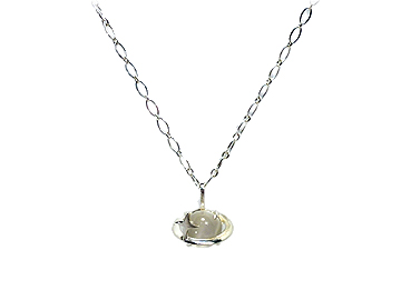 �f�����C���[�W�������[���X�g�[���̃V���o�[�l�b�N���X