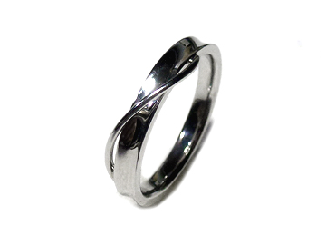 ���a���R���Z�v�g�ɂ����u�n�[���j�[�v���̃V���o�[�����O