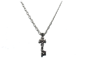 �_�C�������h�����߂����f�U�C���̃V���o�[�l�b�N���X