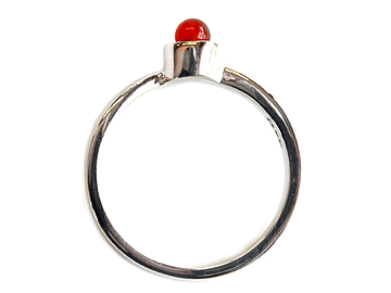 �J�[�l���A���̗�ł��B