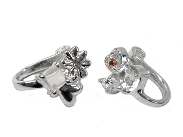 �قȂ�f�U�C�����X�g�[�������͂̃V���o�[�C���[�N���b�v